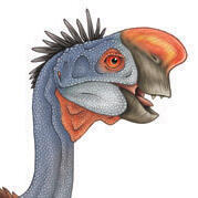 Oviraptors