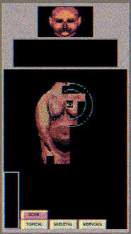 ✨Discover My Body✨