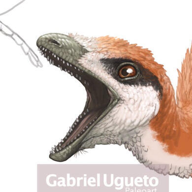 Sinosauropteryx